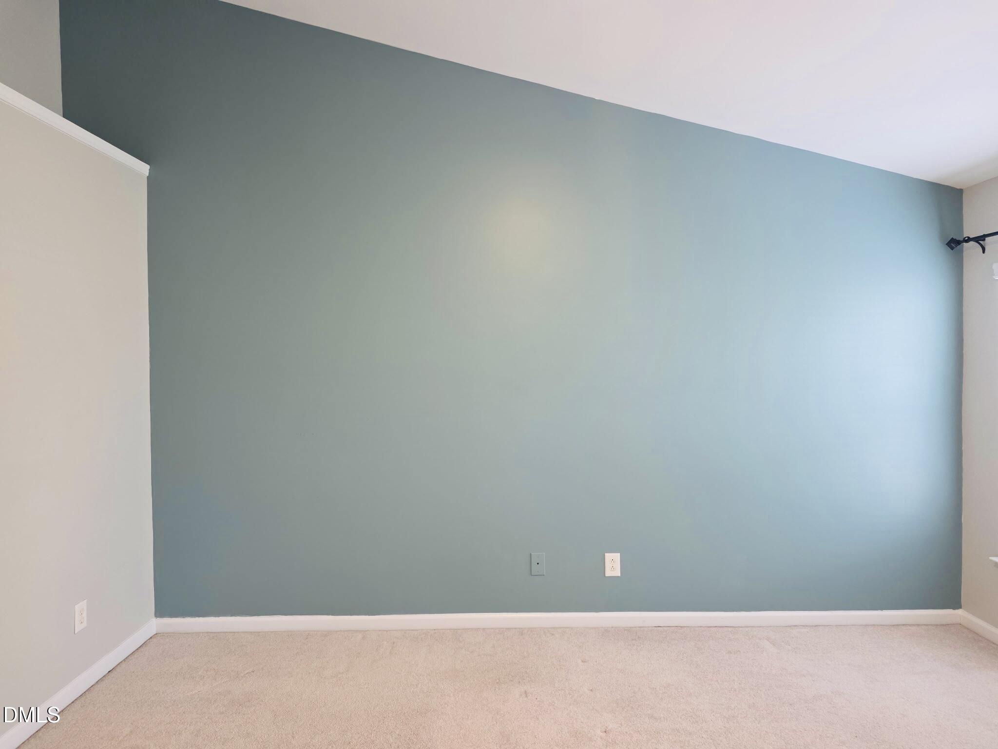 124 Braeside Court Property Photo 38