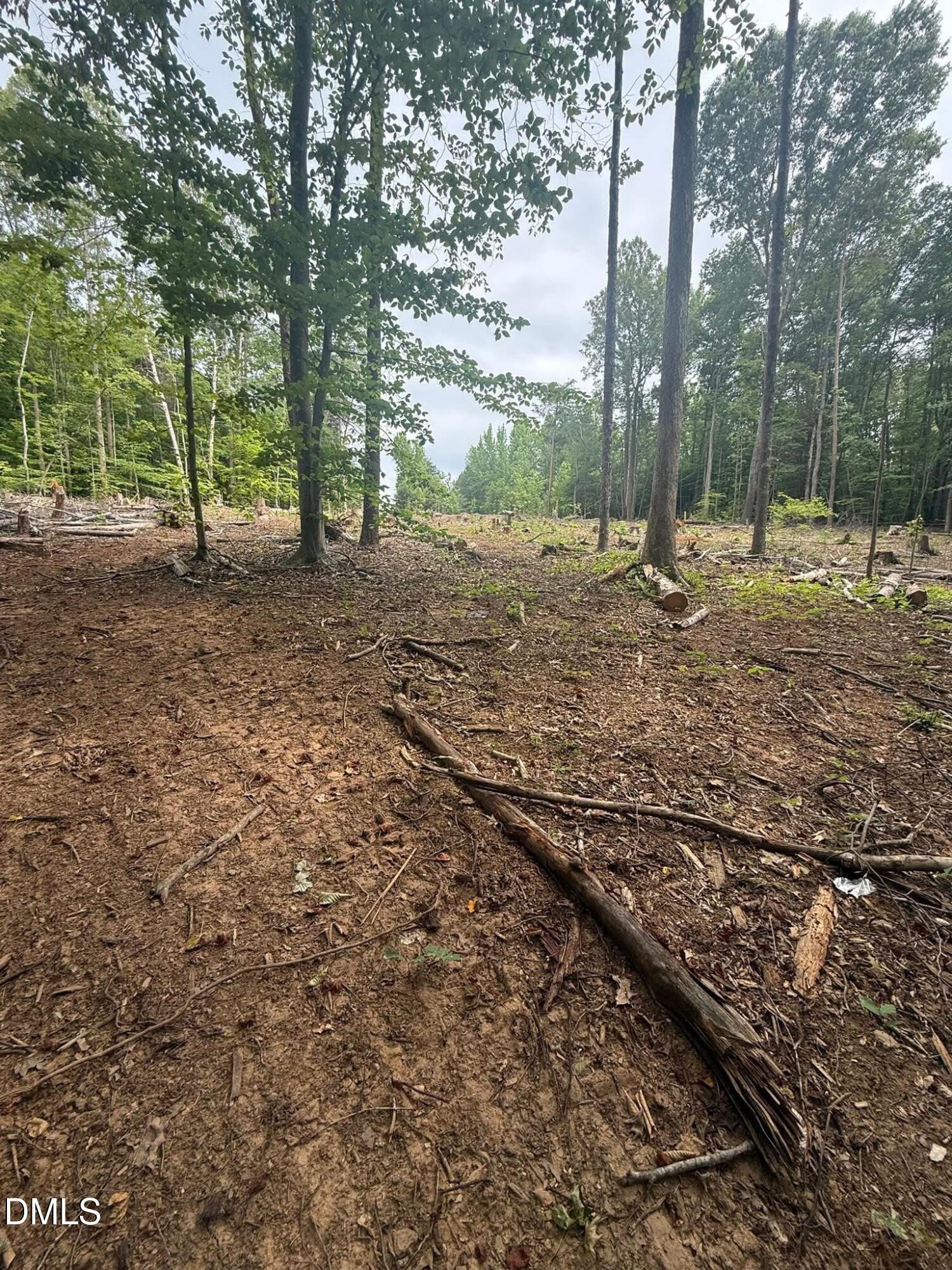0 Trails End Drive Property Photo 11