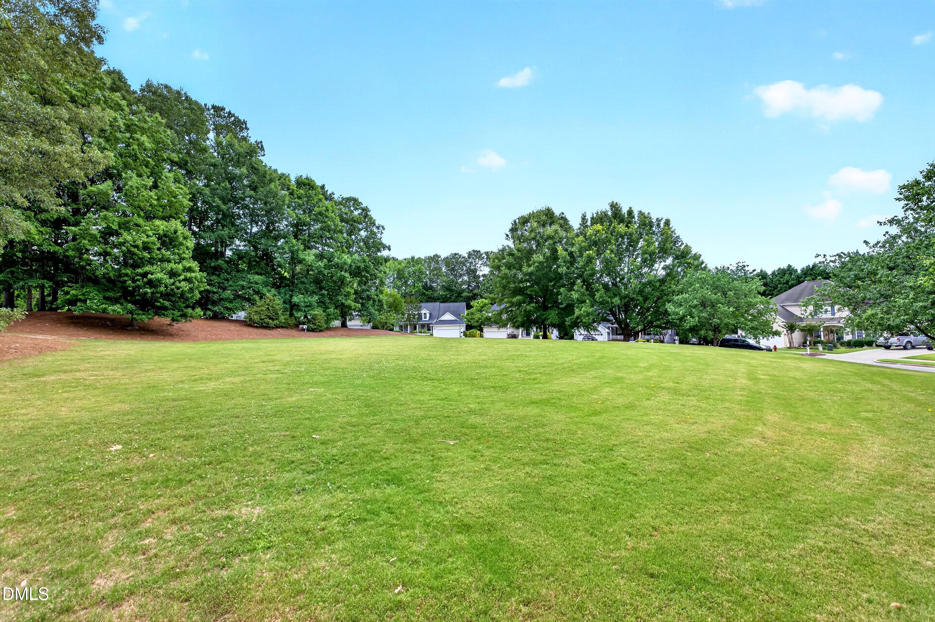 1402 Willow Leaf Way Property Photo 74