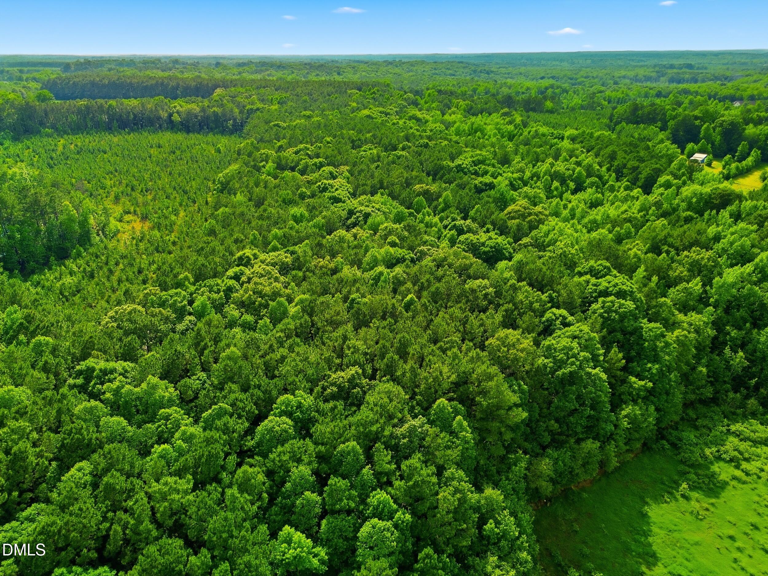 6.48 Acres Flower Hill Rd Road Property Photo 4