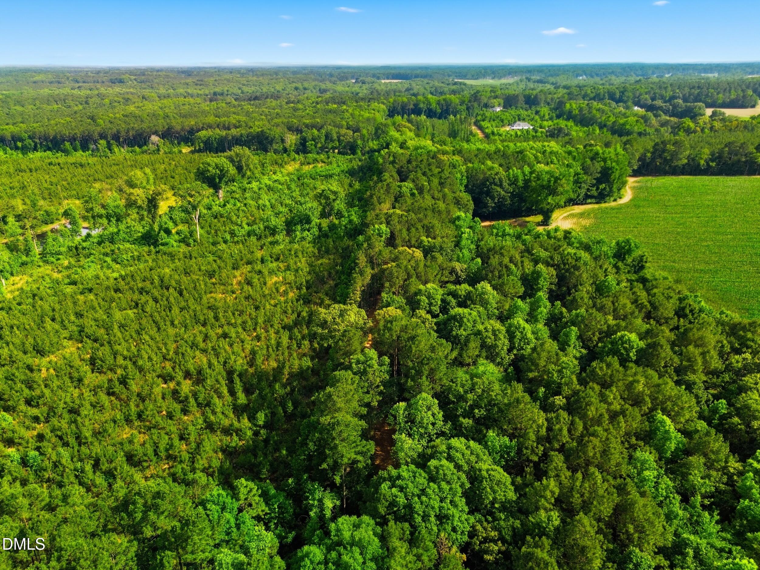 6.48 Acres Flower Hill Rd Road Property Photo 6