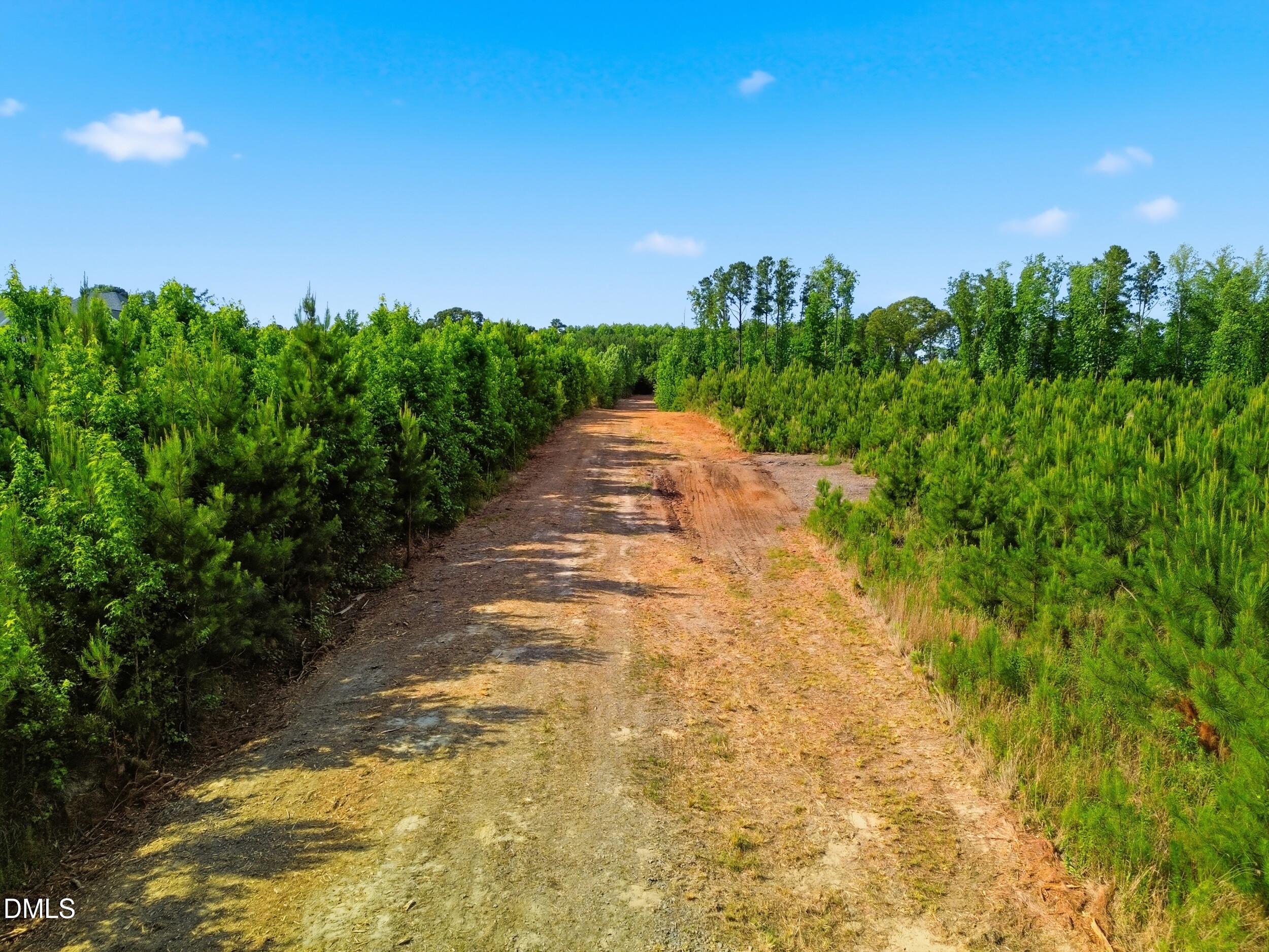 6.48 Acres Flower Hill Rd Road Property Photo 7