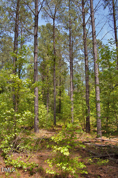 G G F Ball Road Property Photo 1