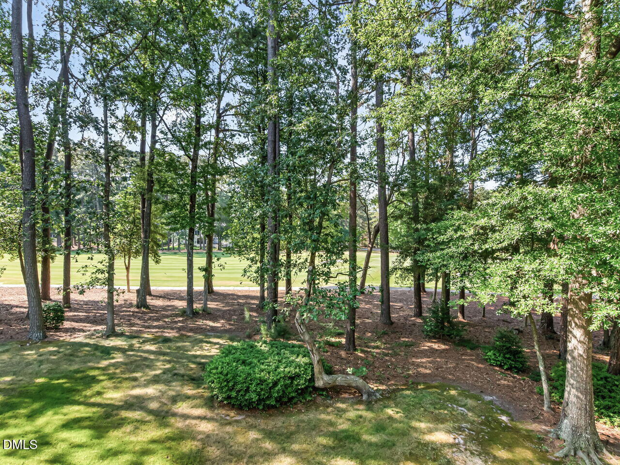218 Kelso Court Property Photo 25