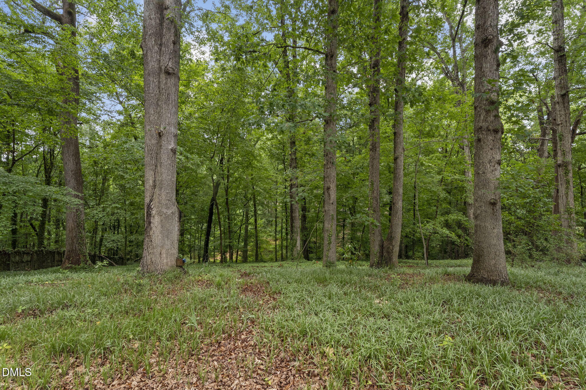 4419 Laurel Hills Road Property Photo 37