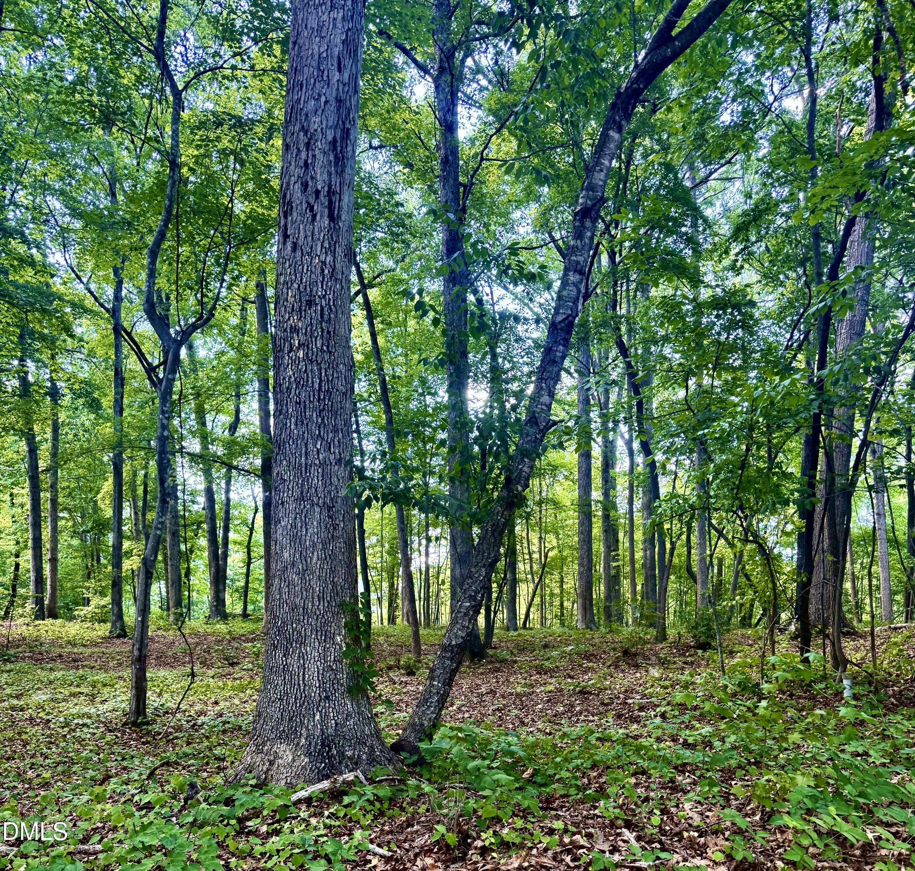 604 Appaloosa Trail Property Photo 2