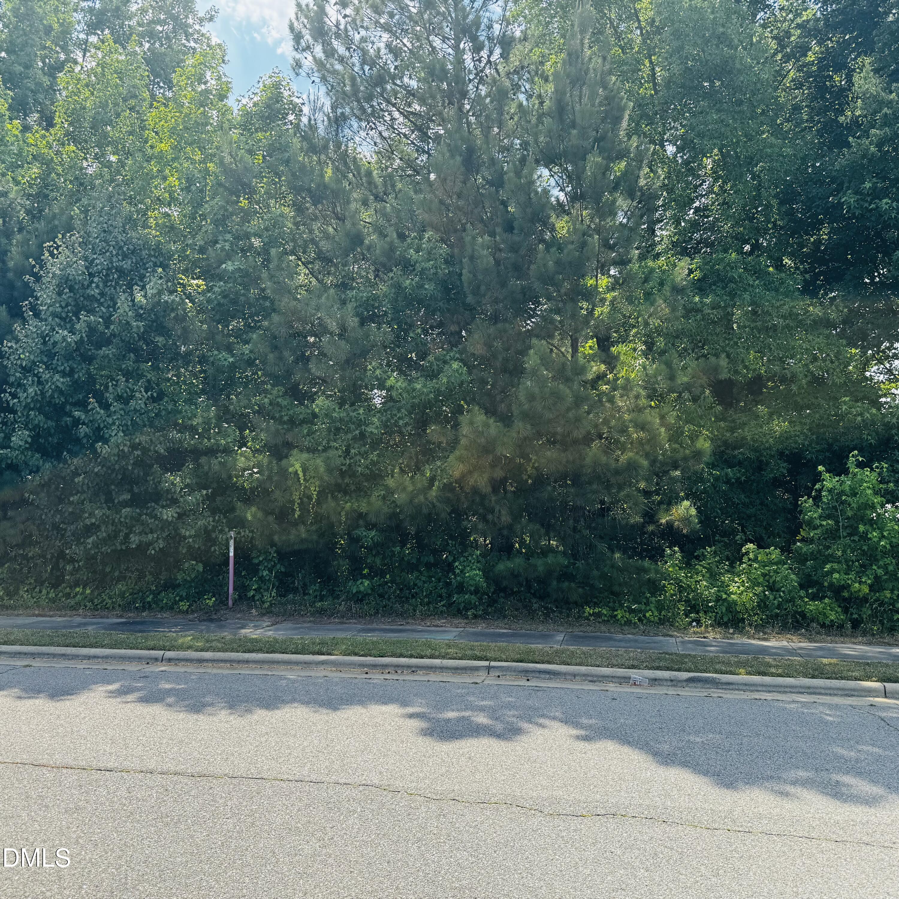 149 State Avenue Property Photo 3