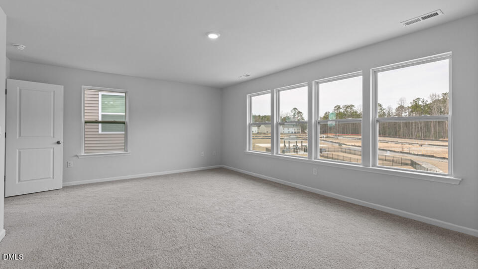 905 Sculptor Street Property Photo 18