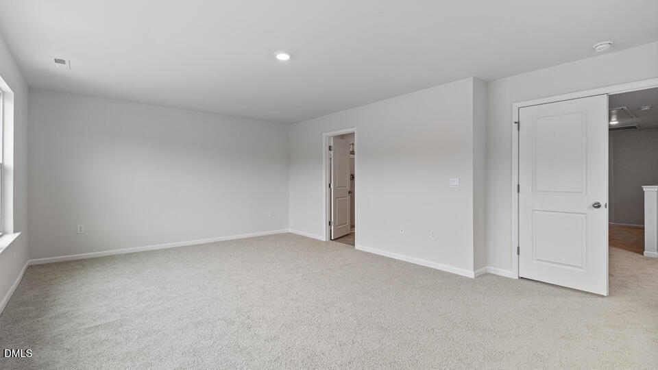 905 Sculptor Street Property Photo 19