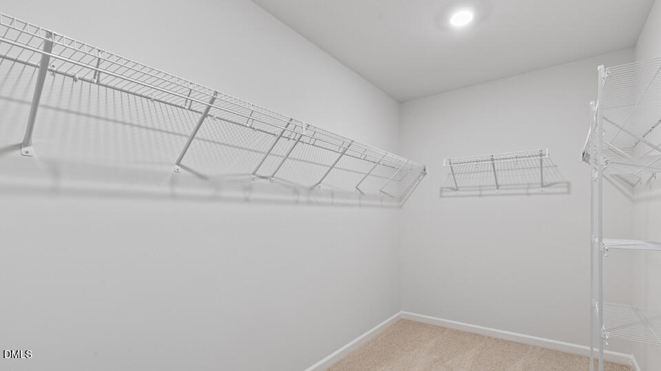 905 Sculptor Street Property Photo 22