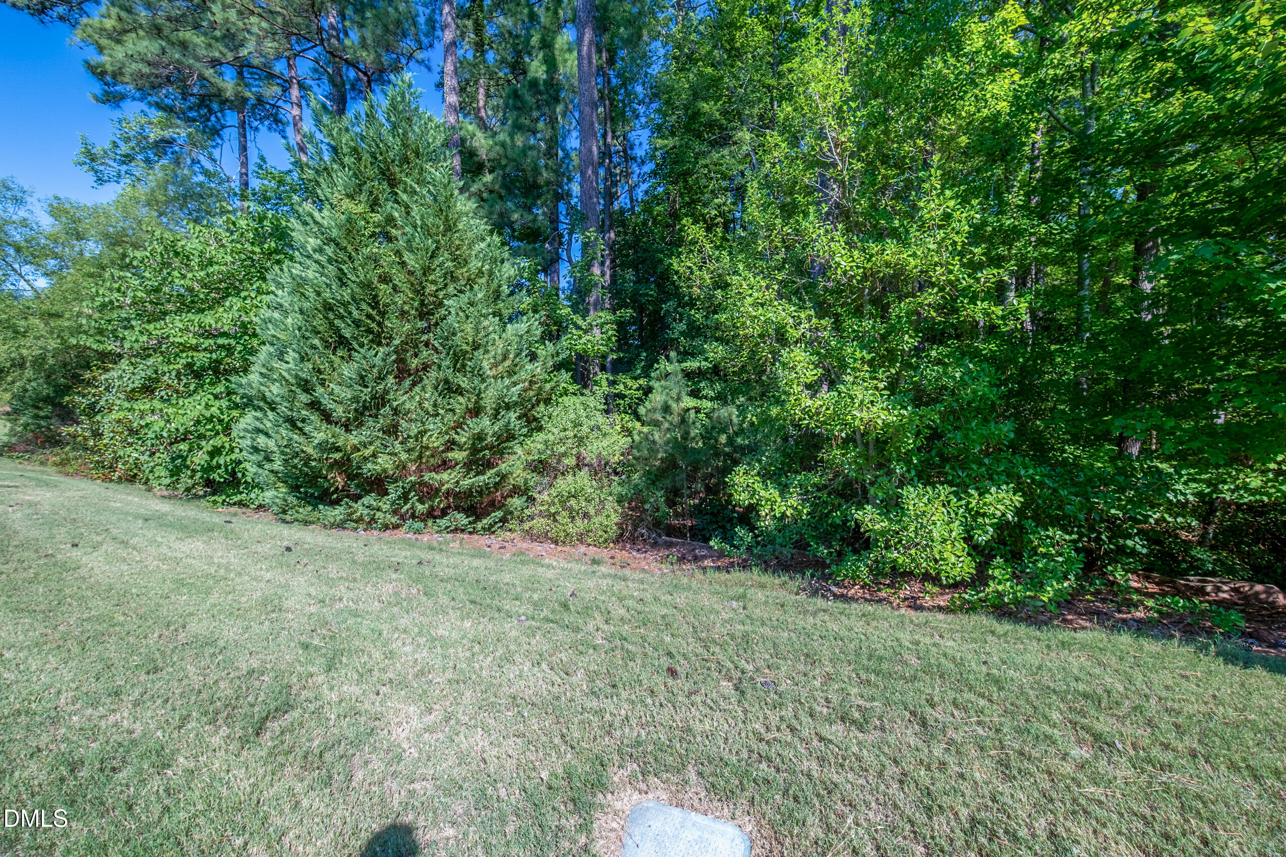 204 Traphill Drive Property Photo 19
