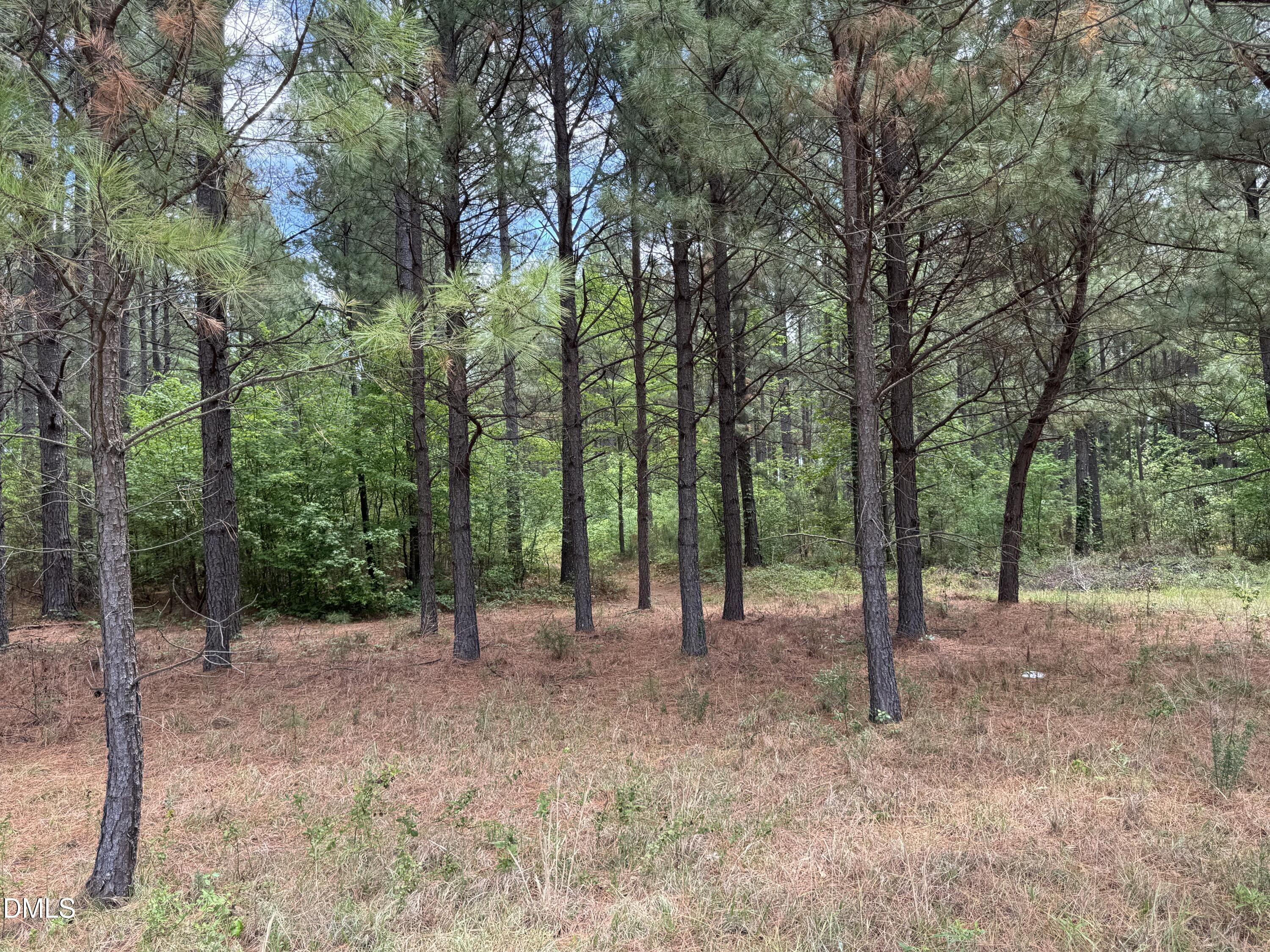 1287 Sherron Road Property Photo 12