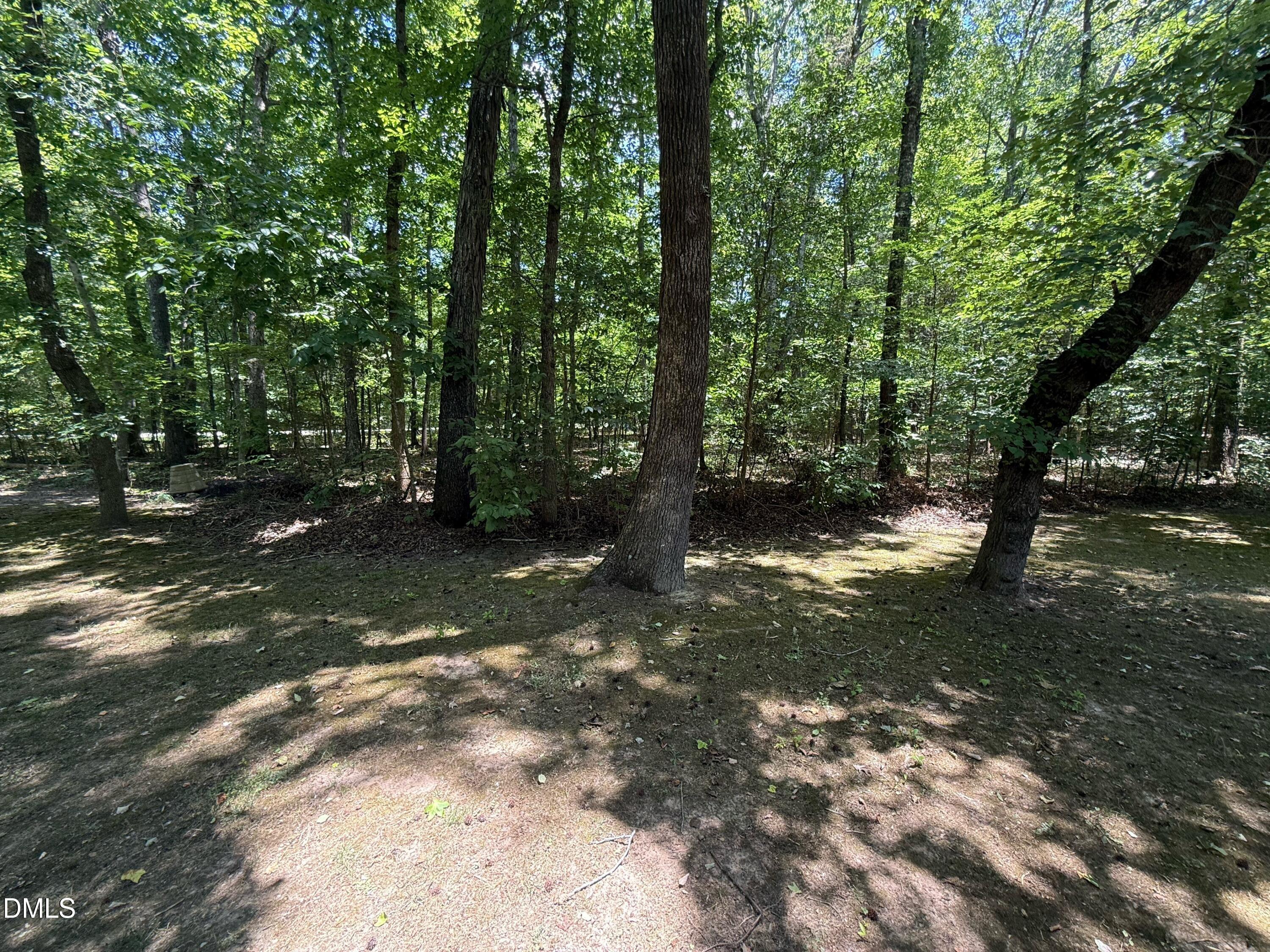 113 Chambers Road Property Photo 12