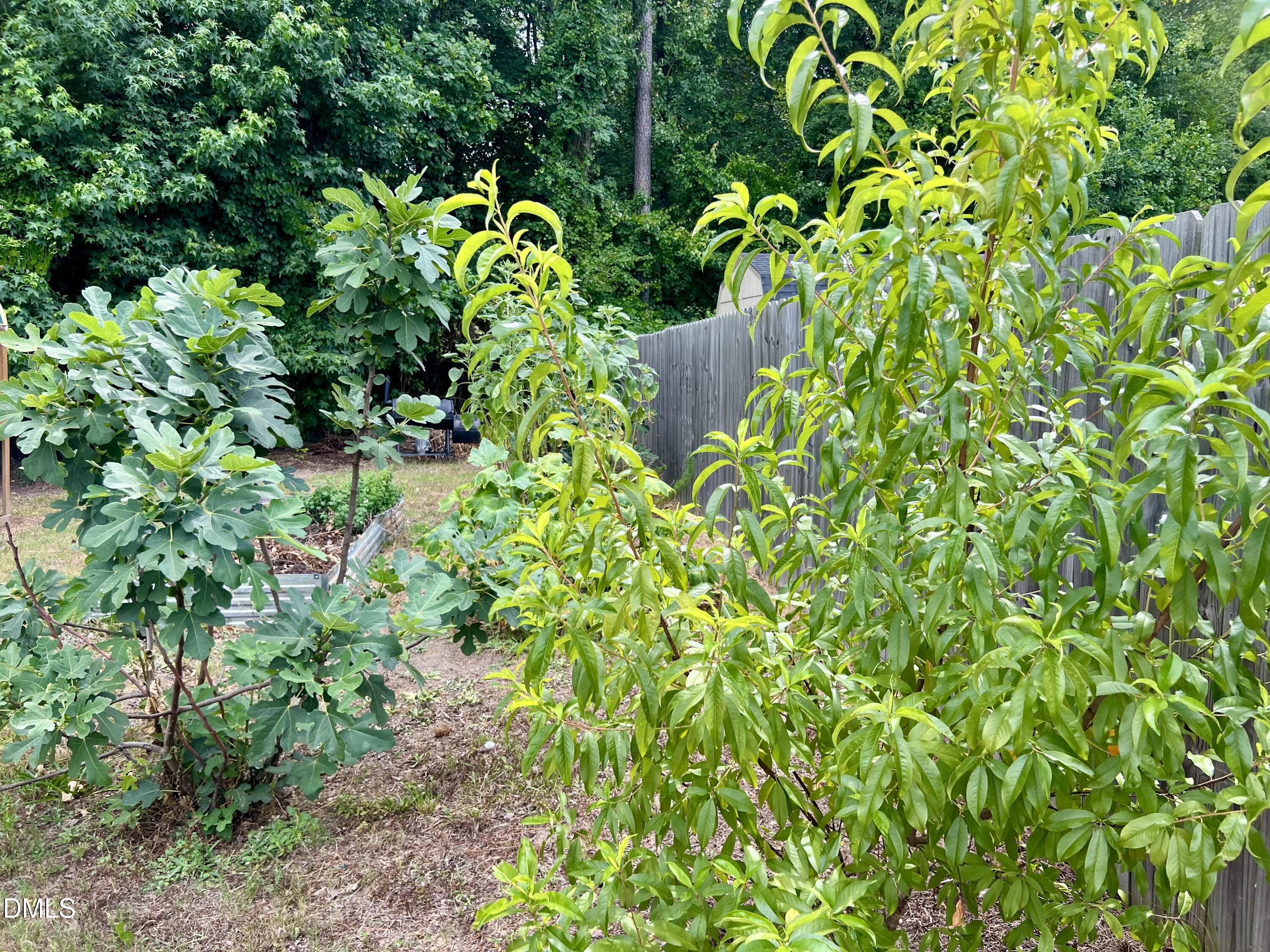 143 Fawnbrook Drive Property Photo 32