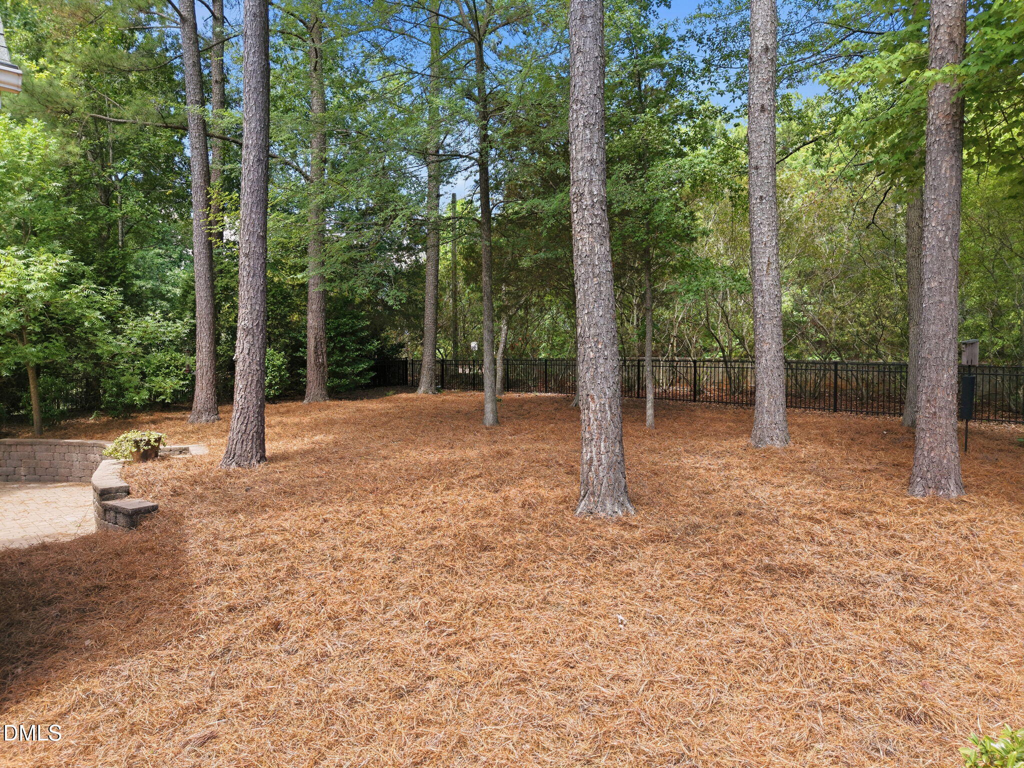 1229 Fanning Drive Property Photo 40