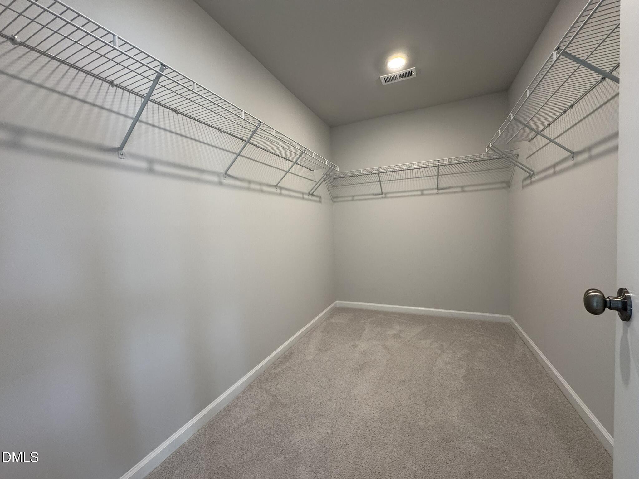 375 Garden Vine Trail Property Photo 20
