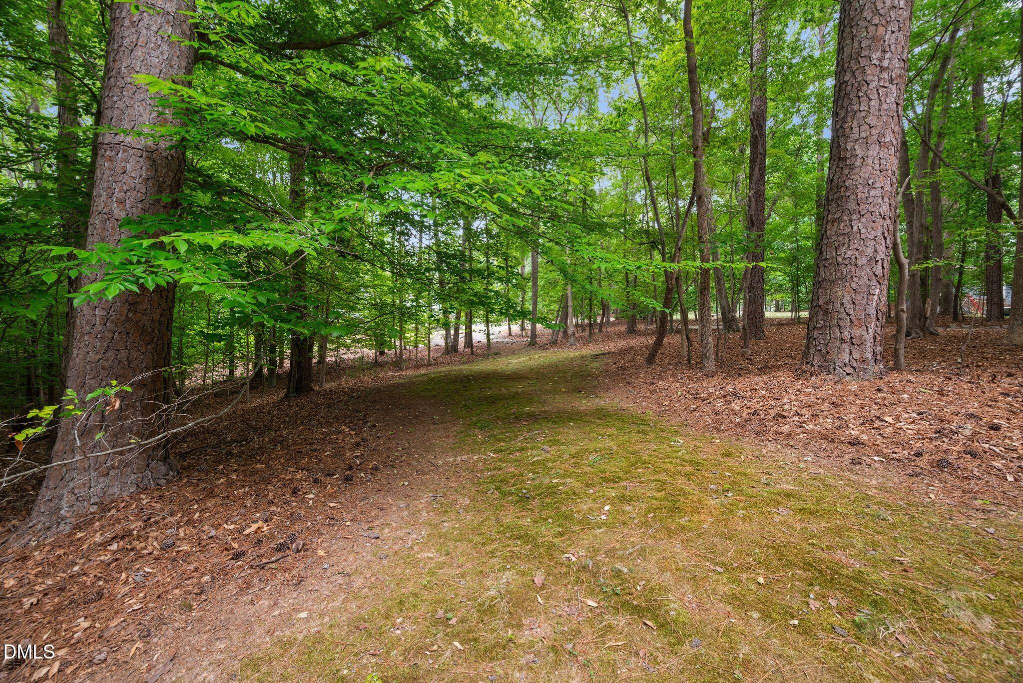 9913 Longford Drive Property Photo 68
