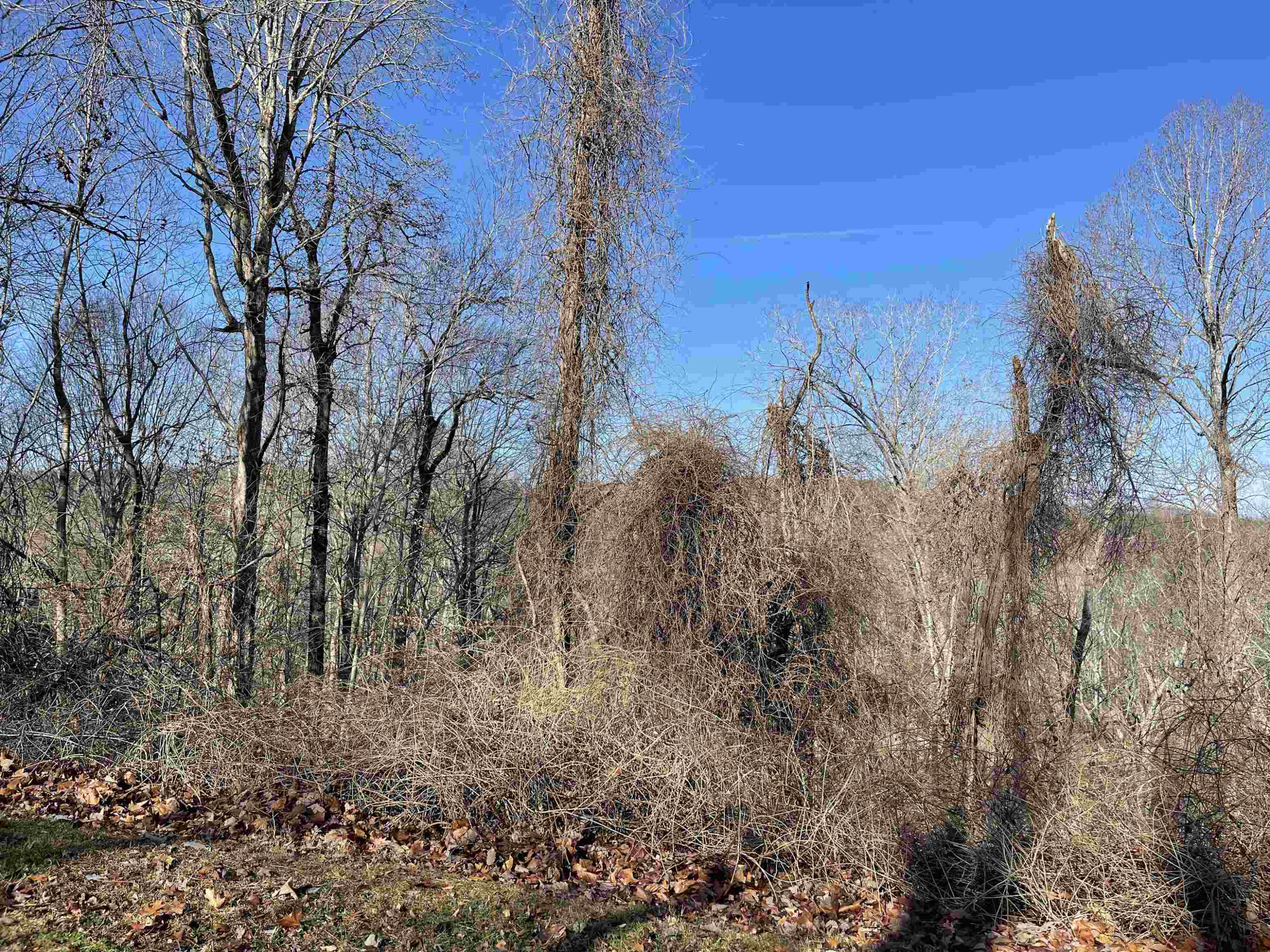 39417 Glenn Glade Property Photo 1