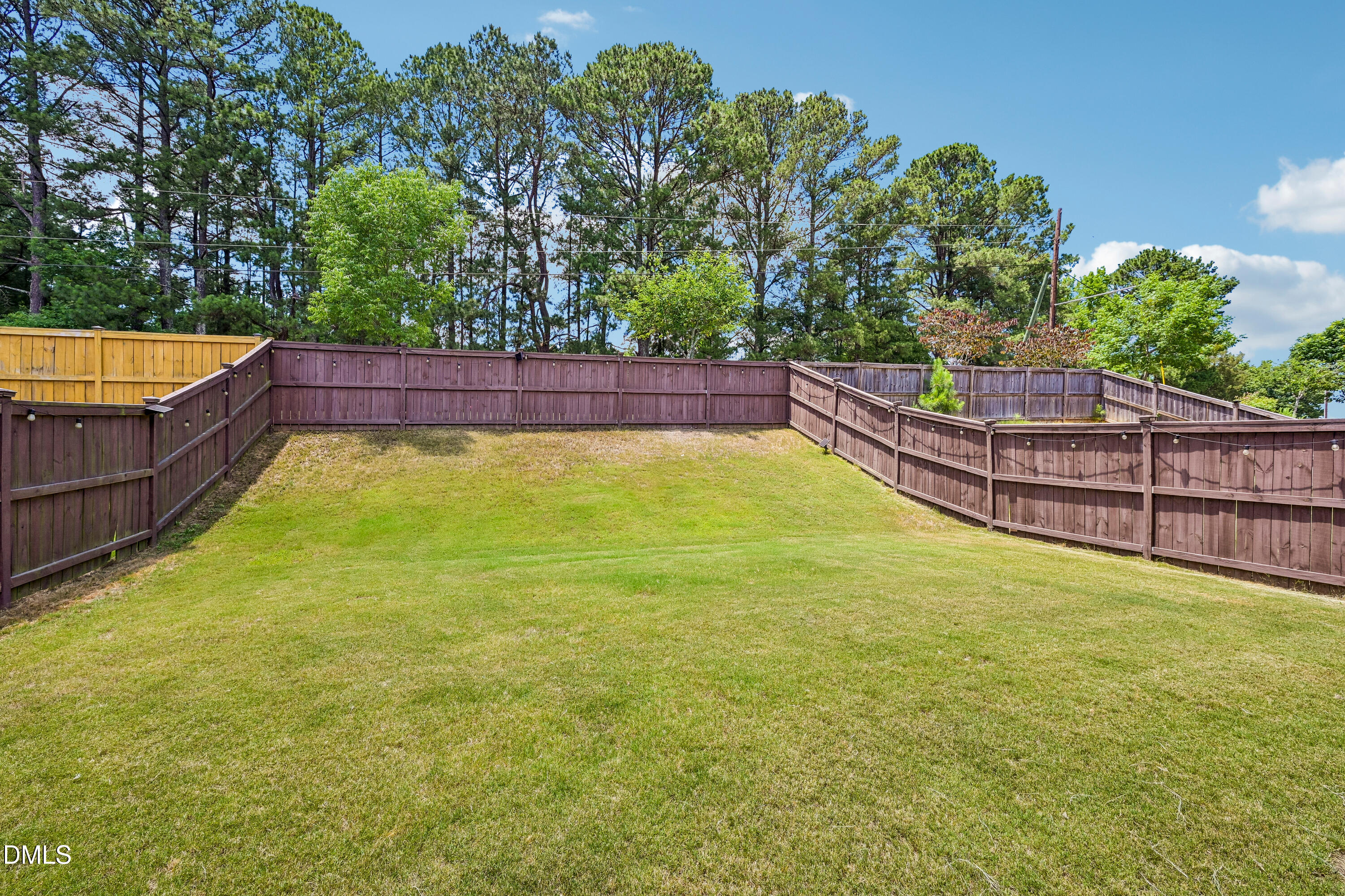 2234 Gregor Overlook Lane Property Photo 46