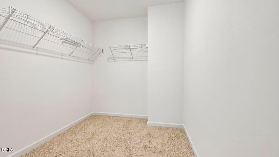 390 Delmoor Drive Property Photo 39