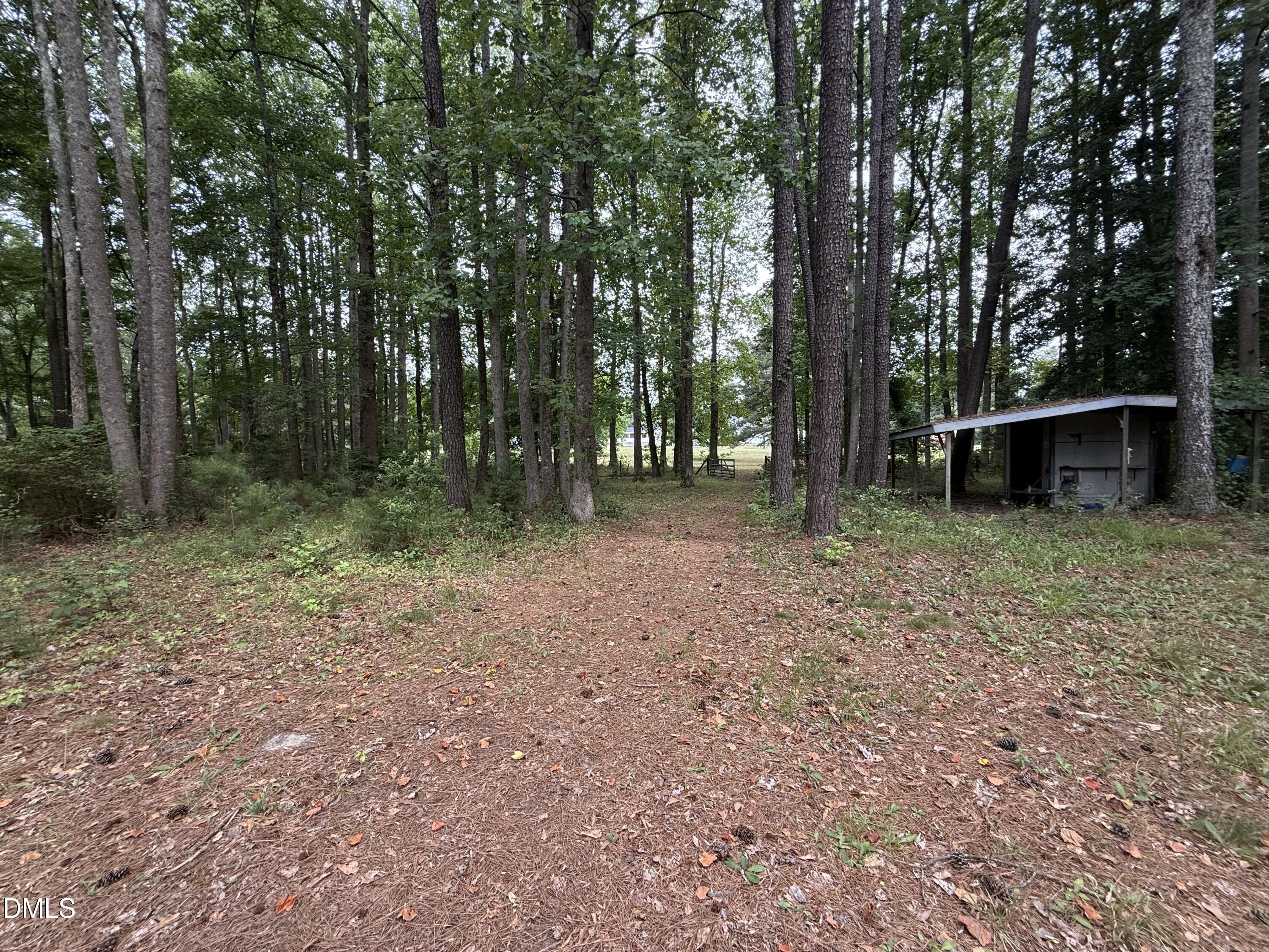513 Gay Road Property Photo 14