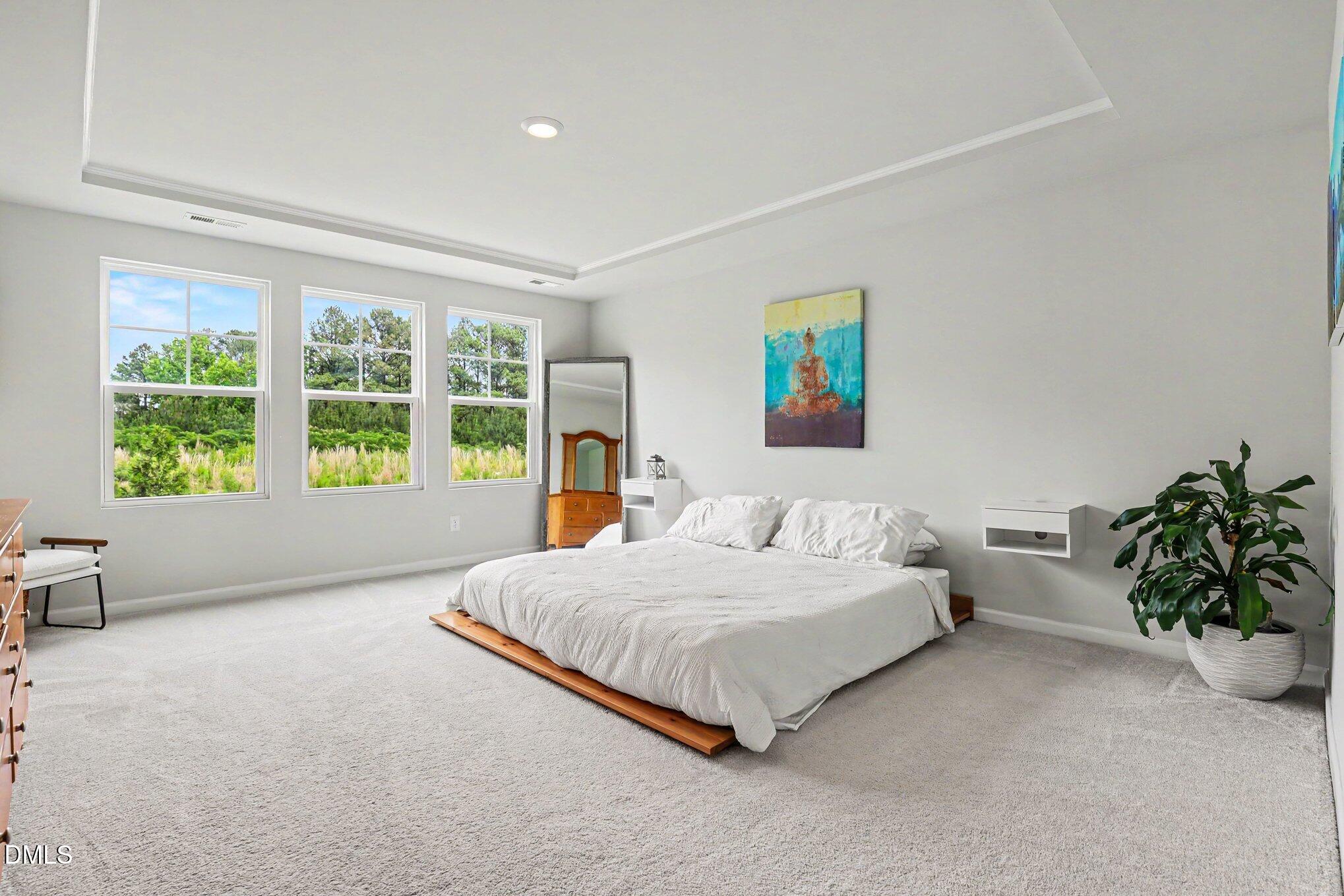 3617 Star Gazing Lane Property Photo 14