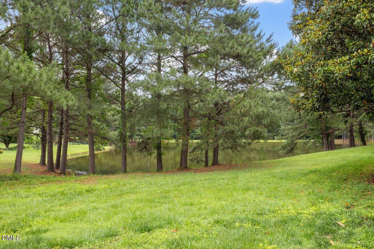 109 Bittercress Court Property Photo 55