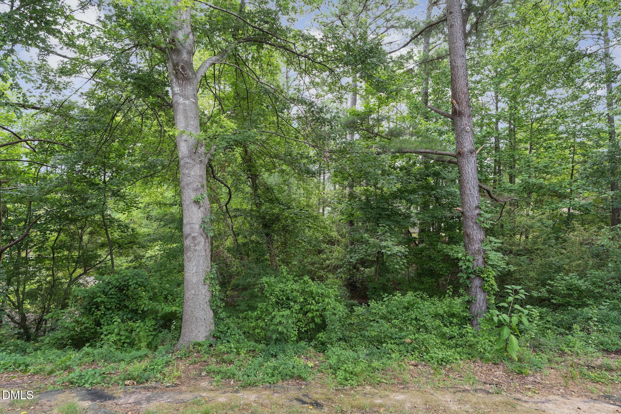 508 Canyon Lake Circle Property Photo 43