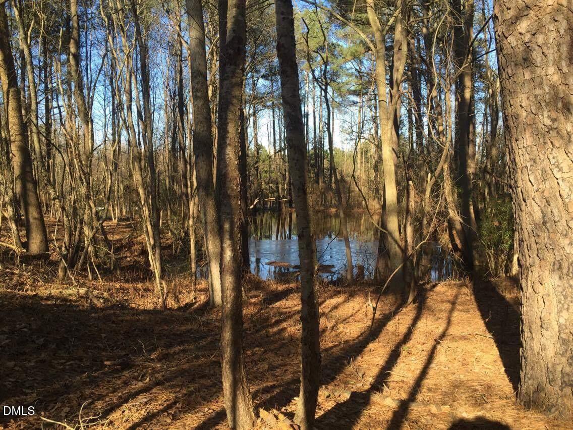 586 Shade Tree Road Property Photo 6