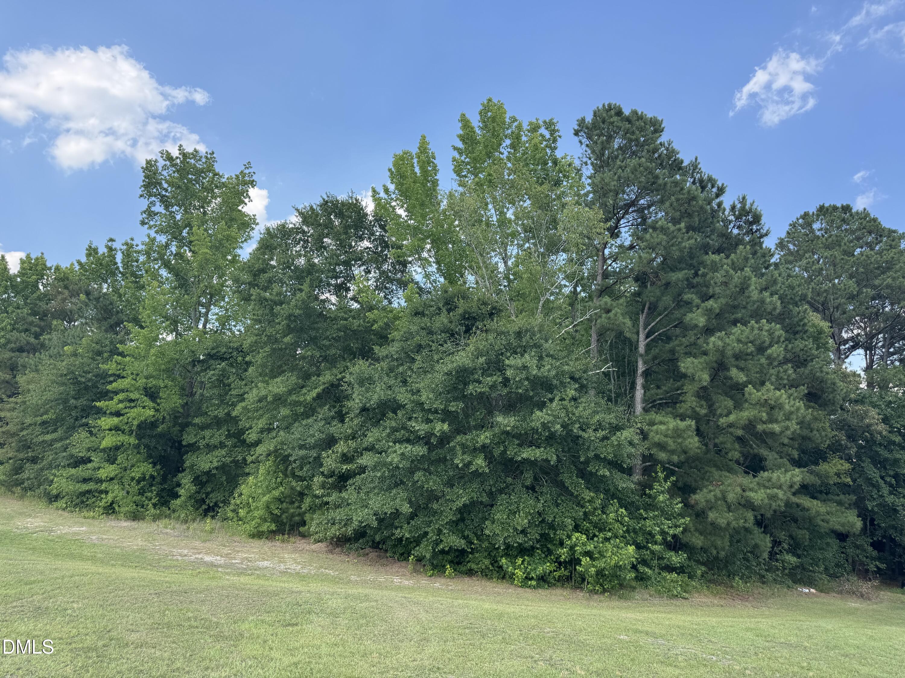 586 Shade Tree Road Property Photo 7