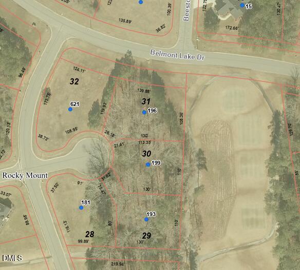 199 Tralee Drive Property Photo 1