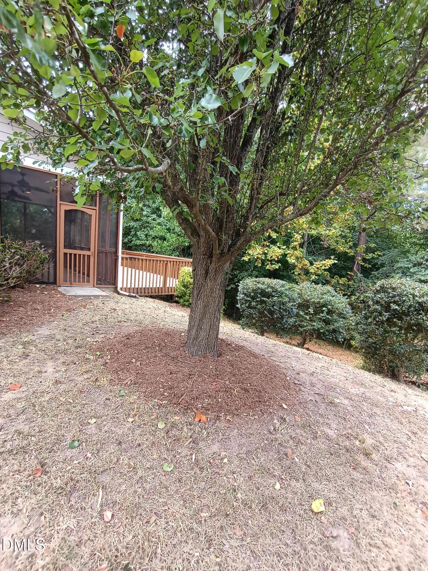 2825 Margot's Avenue Property Photo 37