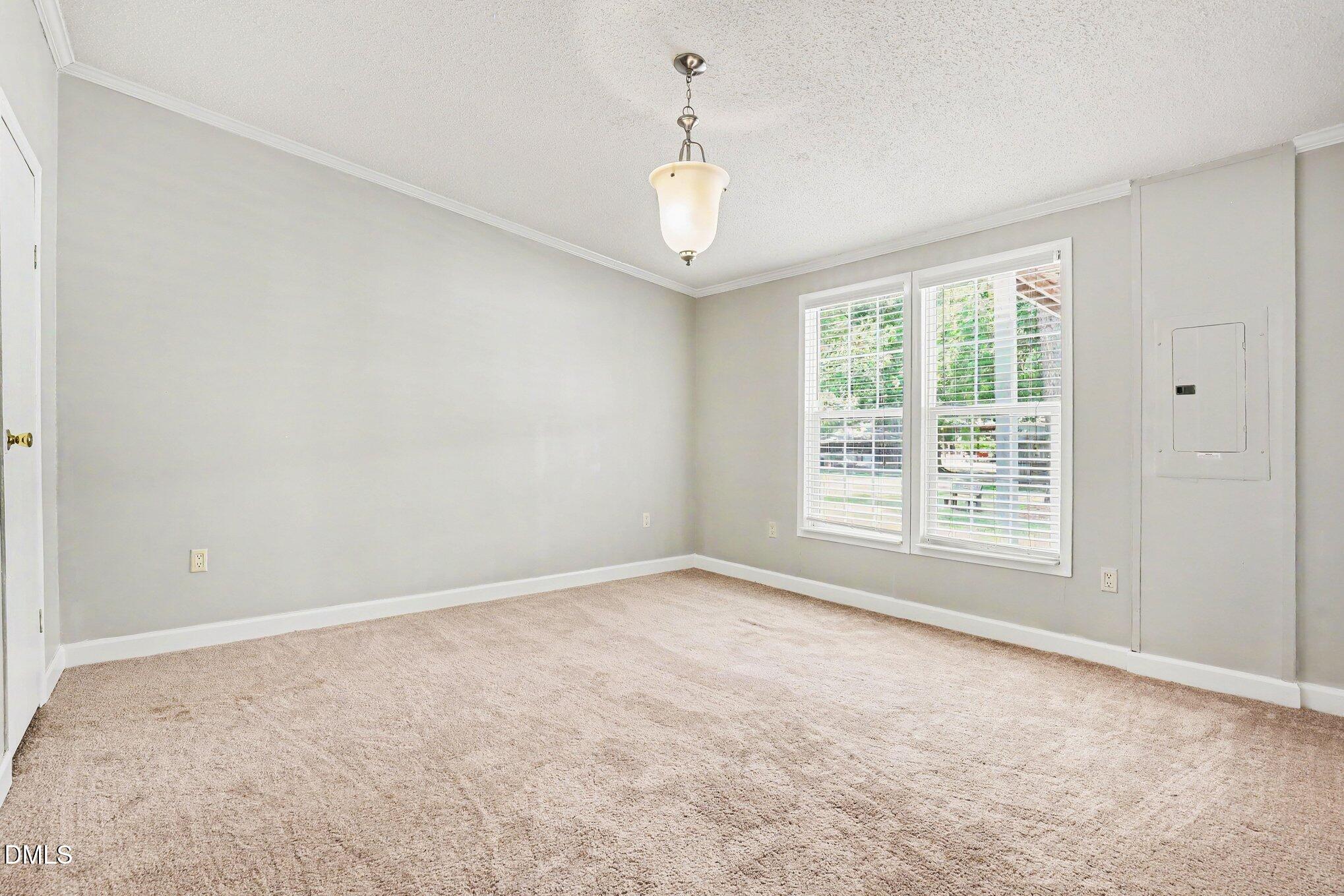 979 Branch Chapel Church Road Property Photo 17