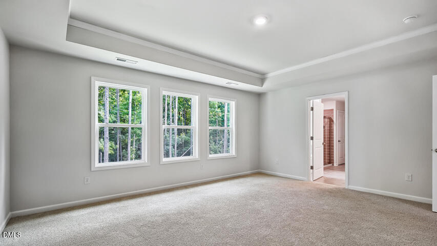 5009 Dezola Street Property Photo 16