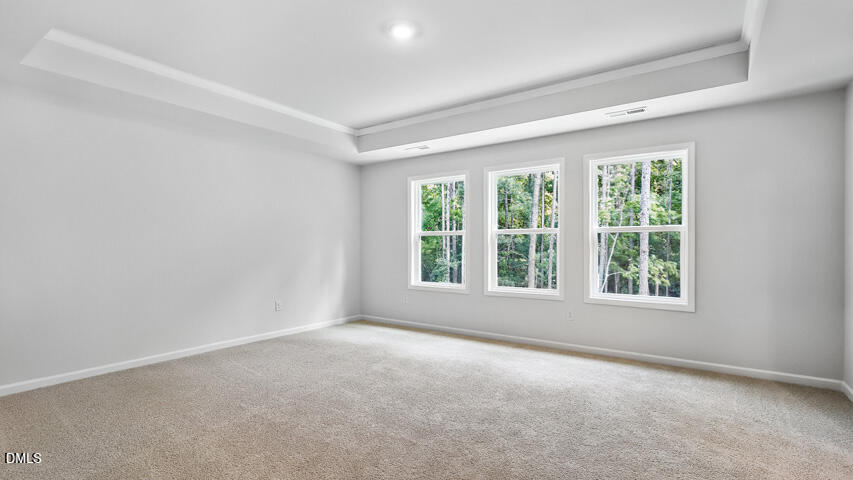 5009 Dezola Street Property Photo 17