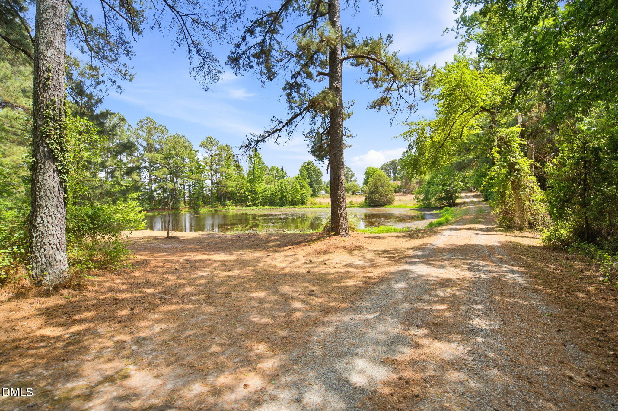 3924 Lewis Road Property Photo 1
