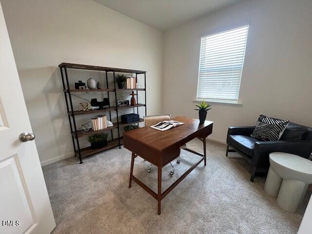 525 Purple Aster Street Property Photo 6
