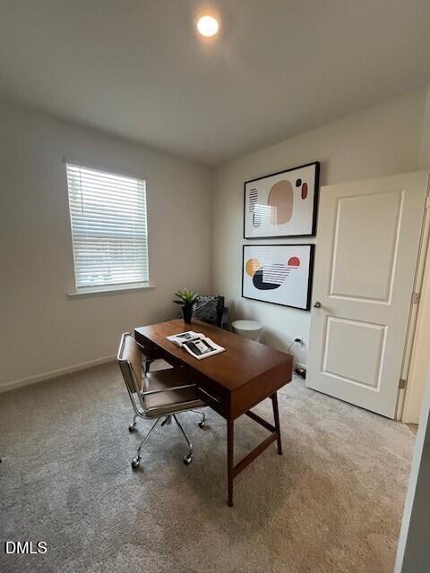 525 Purple Aster Street Property Photo 7