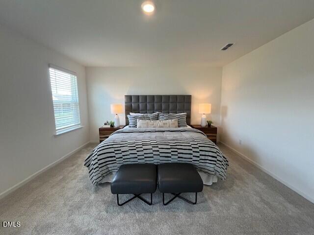 525 Purple Aster Street Property Photo 9