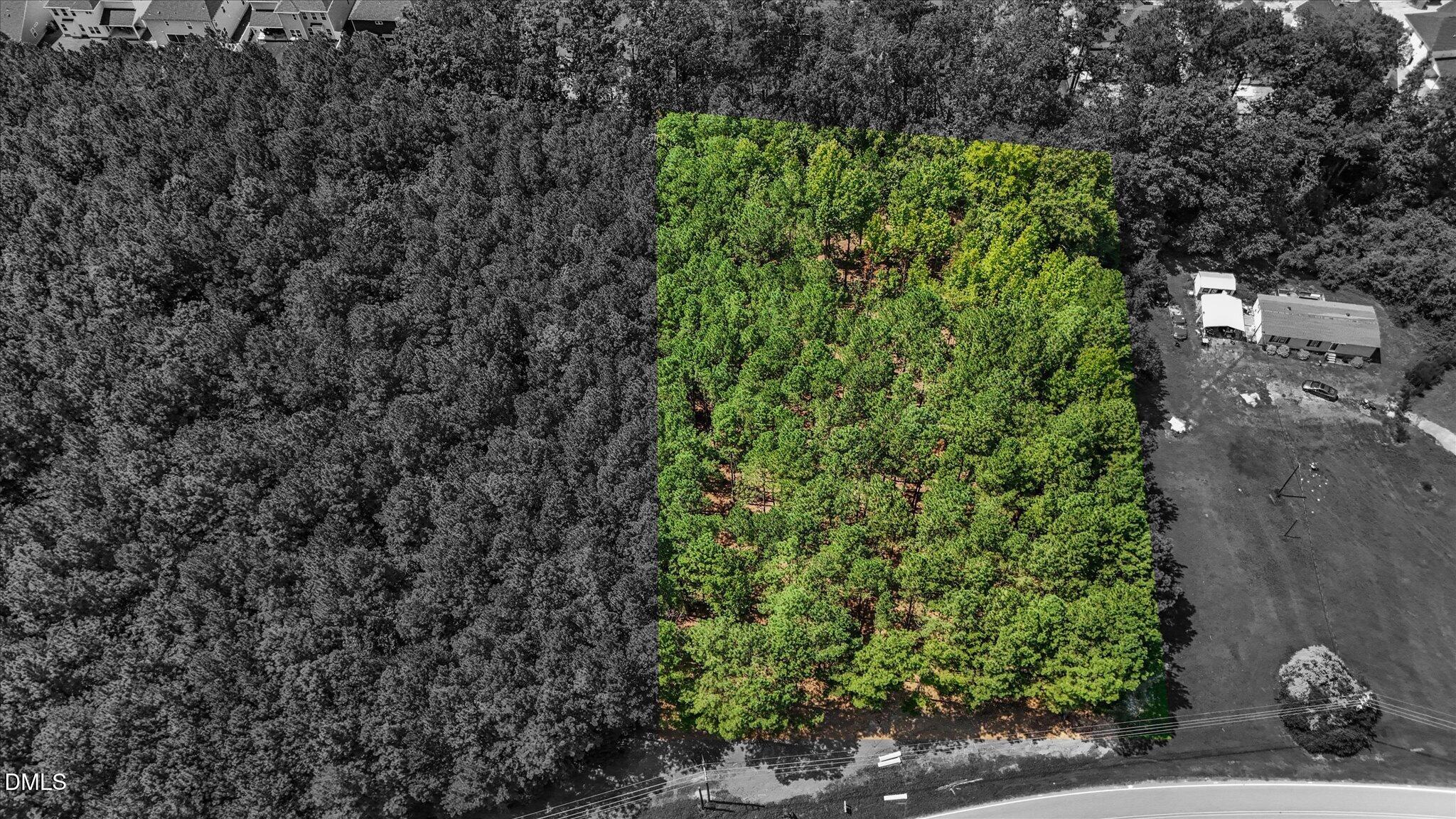 2421 Marks Creek Road Property Photo 10
