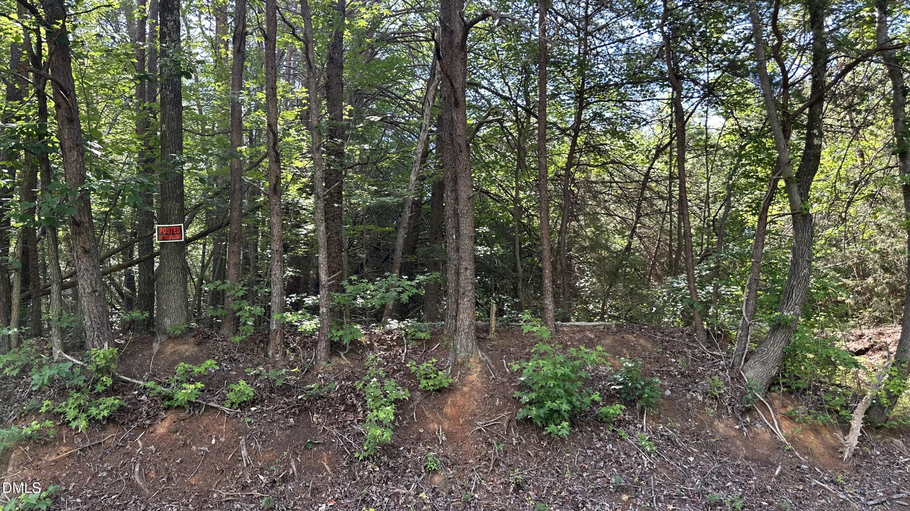 3016 Carver Road Property Photo 3