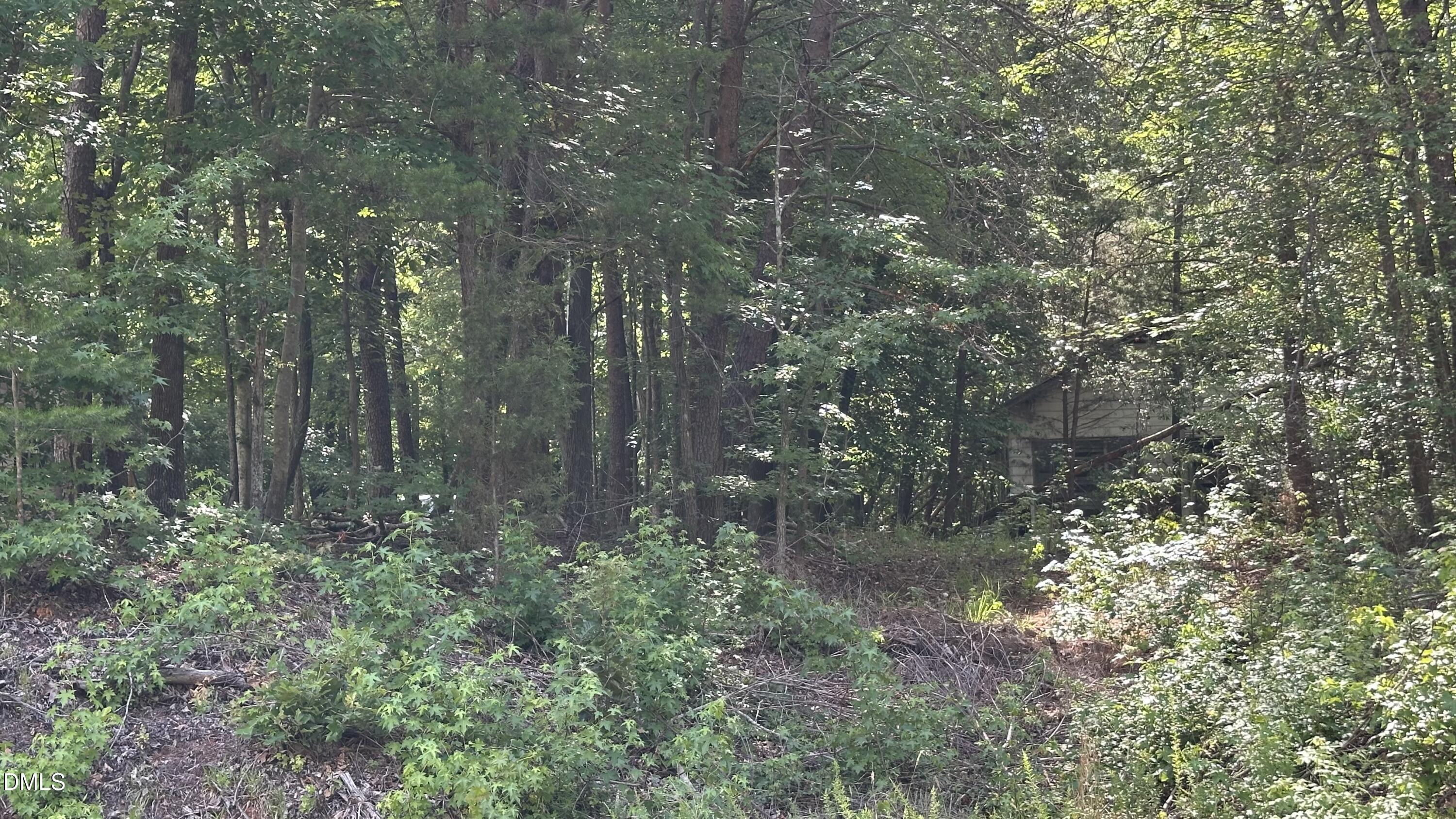 3016 Carver Road Property Photo 4