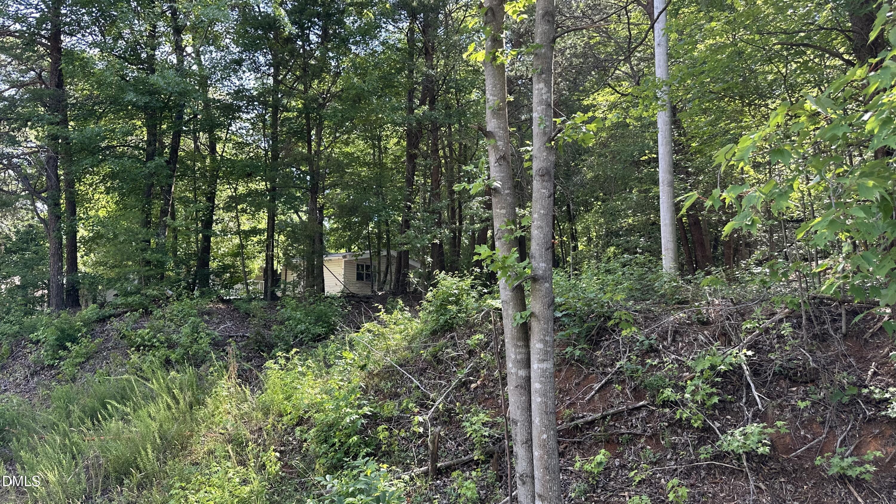 3016 Carver Road Property Photo 5