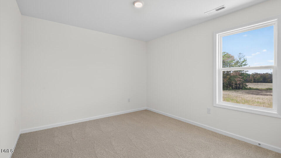 409 Falls Bluff Drive Property Photo 22
