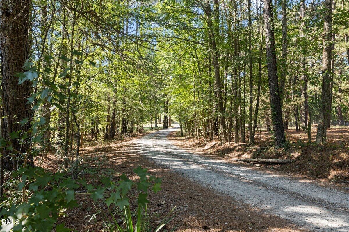 1304 Flying Hawk Road Property Photo 3