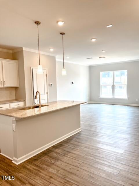 305 Annabelle Blue Drive Property Photo 2