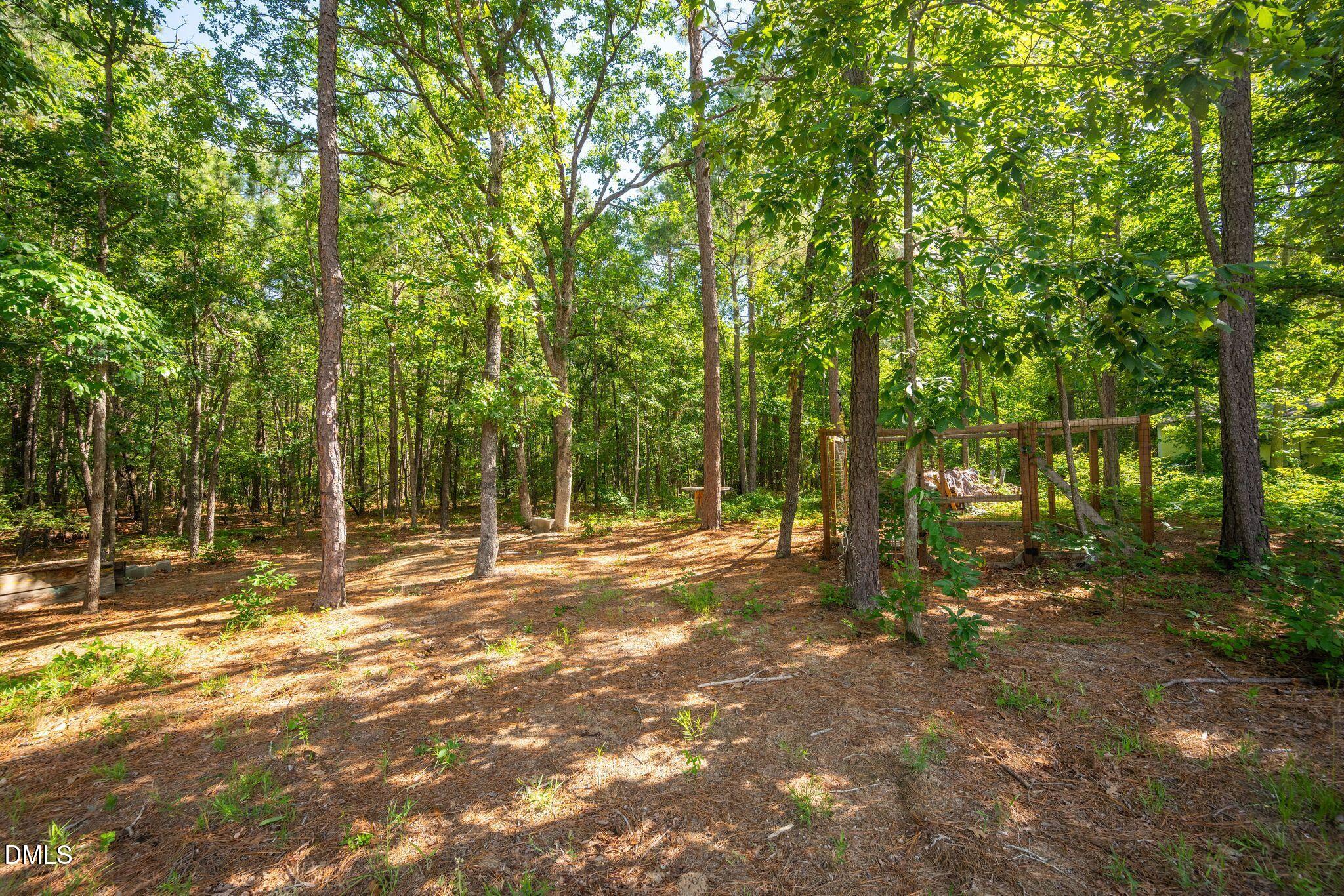 499 Jumping Run Road Property Photo 69