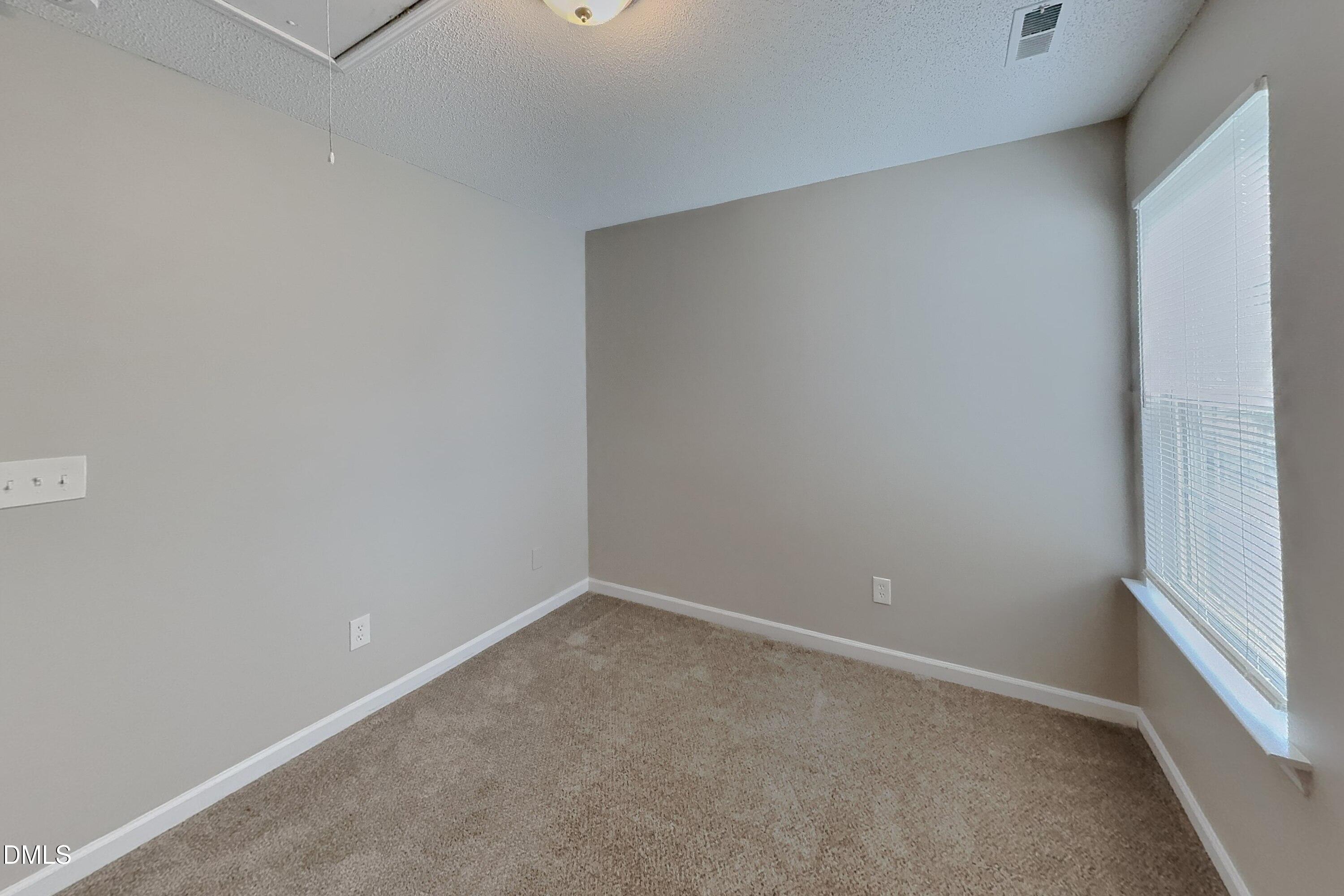 223 Pebblestone Drive Property Photo 11