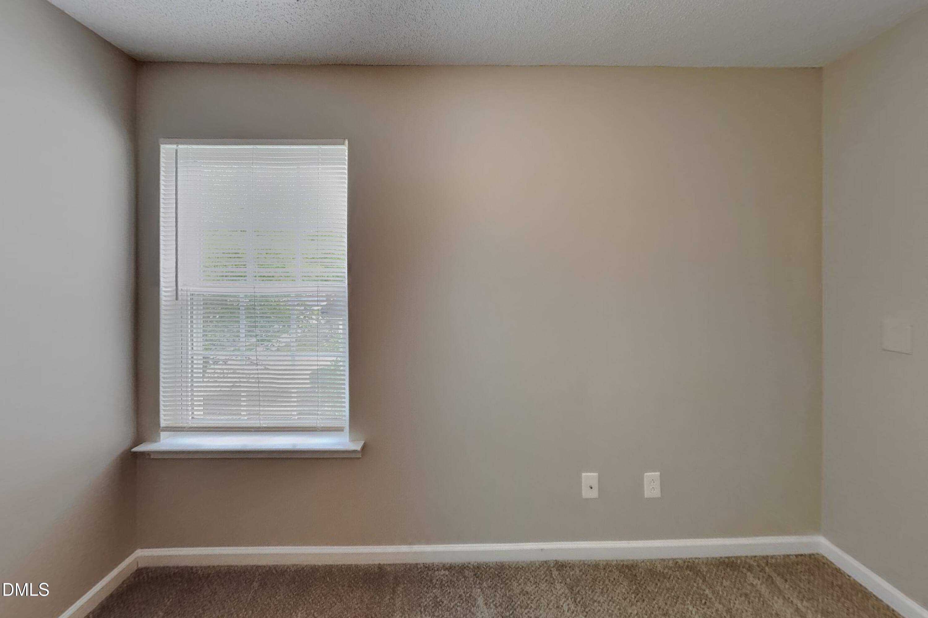 223 Pebblestone Drive Property Photo 12