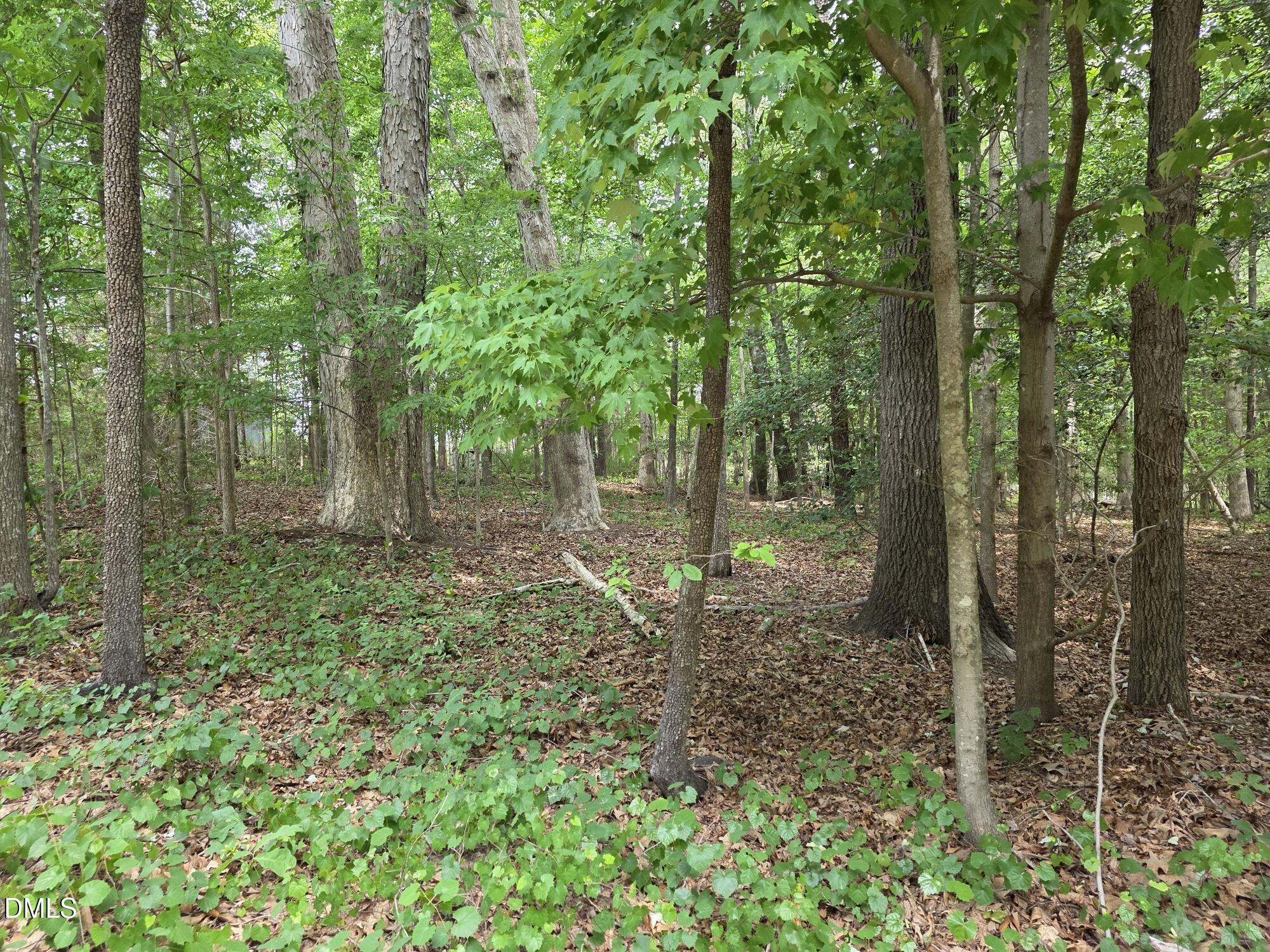 4901 Bluebird House Lane Property Photo 1